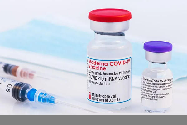 Ảnh minh họa: The-scientist