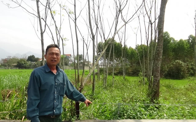Tuyên Quang: “Người sống tranh...đất với người âm”