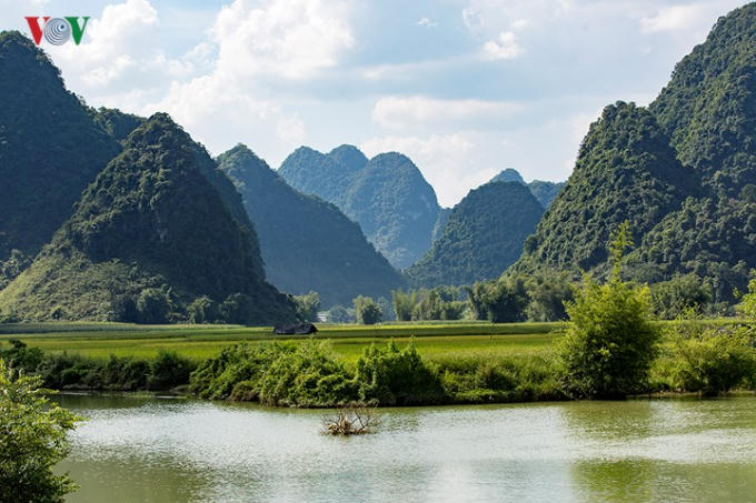 Dòng Quây Sơn uốn lượn bên những đồng lúa vàng.