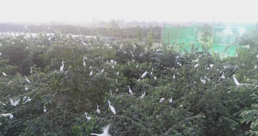 321767133_538256821551077_5096458265137319606_n