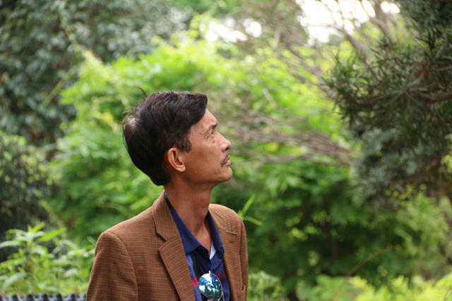 Được biết, hàng năm dòng họ Nhật từng sở hữu cây tùng quý này vẫn sang thăm và đưa nghệ nhân sang cắt tỉa, uốn thế.