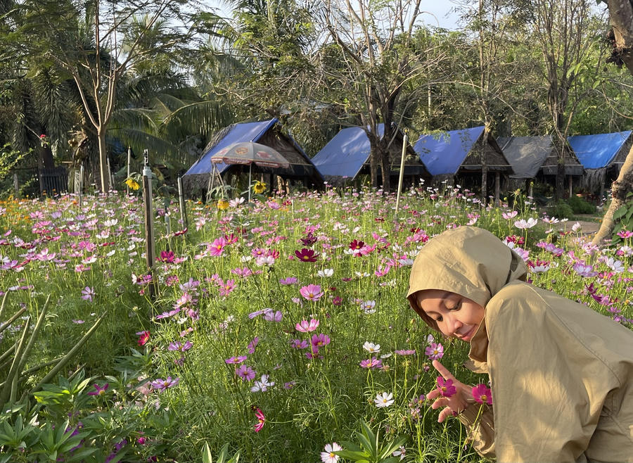 Từ việc chỉ làm nông nghiệp thuần túy, hiện nay nhiều chủ nhà vườn, trang trại đã gắn việc sản xuất nông nghiệp với ngành công nghiệp không khói.