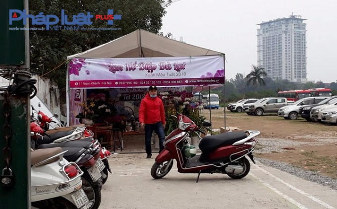 Xuất hiện điểm bán hoa phong lan tại địa đểm này.