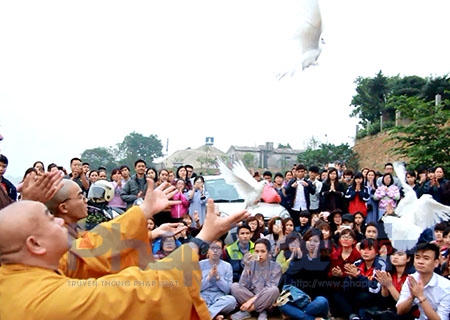 Cũng tại đây, các sinh viên, phật tử thuộc câu lạc bộ thanh thiếu niên chùa Đình Quán đã được các sư thầy thỉnh giảng về ý nghĩa của việc phóng sinh tạo phước lành.