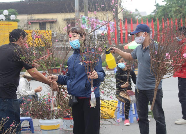 Dân buôn hoa, cây cảnh Tết lo mất ăn mất ngủ khi hàng ế ẩm