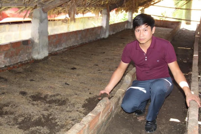 Trang trại nuôi Giun Quế sạch của anh Phạm Văn Tỉnh, dùng bào chế ra sản phẩm Hạ Áp Ích Nhân.