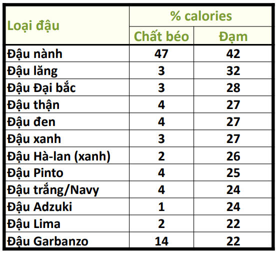 Bảng thống kê hàm lượng đạm và chất béo trong các loại đậu.
