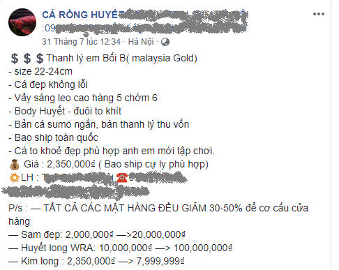 Cá rồng huyết long được rao bán tới cả nghìn đô la, tùy theo trọng lượng và đột biến màu sắc của chúng.