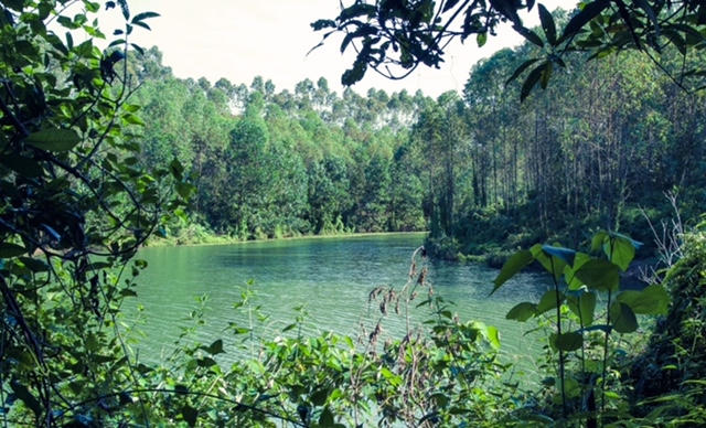 Cây cối, hồ nước còn nguyên vẻ hoang sơ.