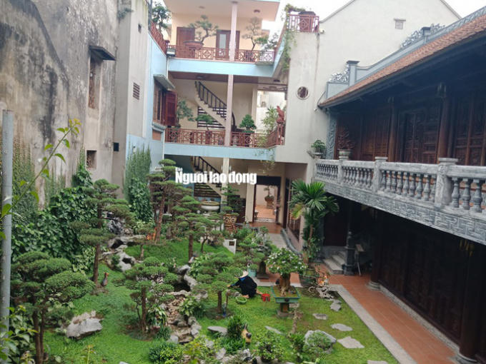 Vườn cây cảnh đẹp.