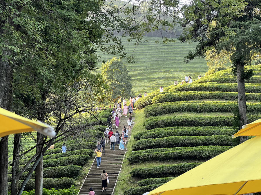 z4746157190818_b69face068d6ec670af69aaff697cbe6