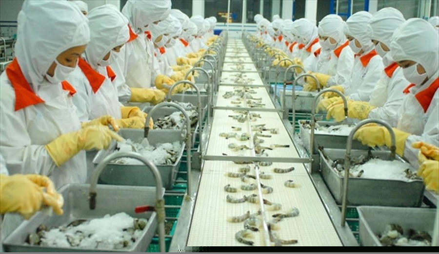 Giai đoạn chống dịch mới, cần chuyển sang chiến lược “sống chung với dịch”.