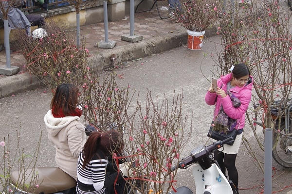 Nhiều bạn trẻ hào hứng bên những cành đào khoe sắc trên phố. Ảnh: Như Trường