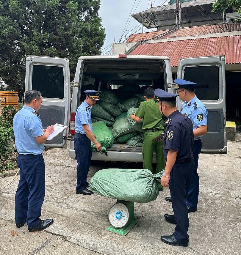 Lực lượng chức năng thu giữ gần 1,4 tấn nguyên liệu thuốc lá không rõ nguồn gốc xuất xứ. Ảnh: CT.