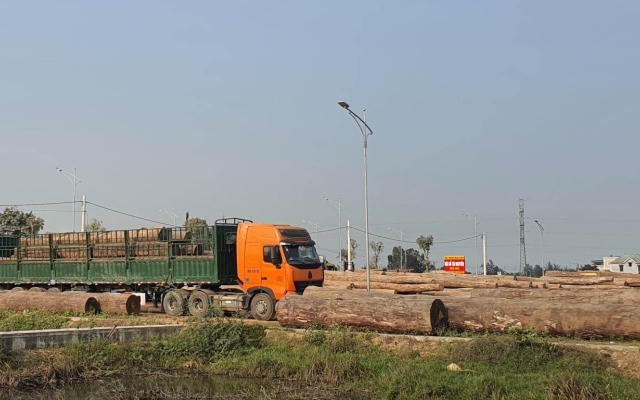 Nghệ An: Doanh nghiệp ngang nhiên sử dụng đất đấu giá để tập kết gỗ