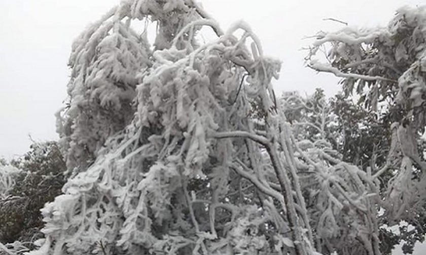 Ảnh minh họa: Tuấn Anh/TTXVN.