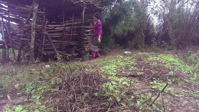 Không khí lạnh kéo dài kèm theo băng tuyết đã làm đời sống cảu bà con miền núi Kỳ Sơn gặp nhiều khó khăn.
