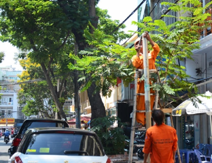 Biển báo cấm xe khách trên 9 chỗ dừng, đỗ trên đường Lê Thị Hồng Gấm (quận 1) được gắn ngay sau tin nhắn của người dân đến tân Bí thư Thành ủy Đinh La Thăng. Ảnh: Đ.L