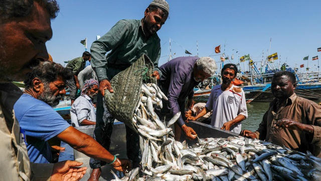 Ngư dân Pakistan (Ảnh minh họa: Reuters)