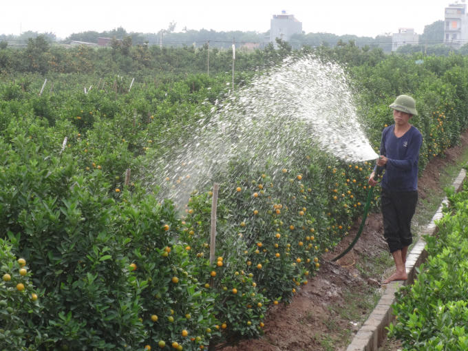 L&agrave;ng nghề hối hả v&agrave;o vụ tết