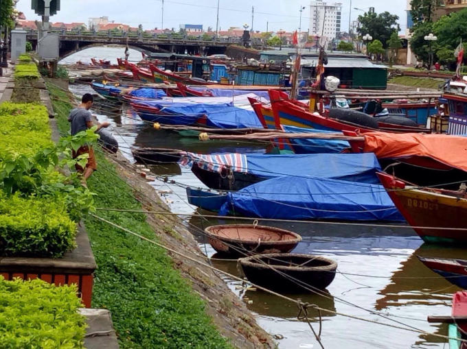 Mọi công tác đảm bảo an toàn cho các tàu thuyền được đảm bảo tối đa nhất. Ảnh: Phan Ba                    Một số tàu công suất lớn đang neo giữa lòng sông. Ảnh Phan Ba                    Số ít tàu thuyển nhỏ còn lại được bà con neo đậu cố định gần bờ. Ảnh Phan Ba                    Nhiều cây cối dọc đường phố gần biển được cắt tỉa nhánh để tránh gió. Ảnh: Phan Ba                    Nhiều quả mít được người dân buộc chặt vào cây để tráng gió lớn làm rơi. Ảnh: Phan Ba