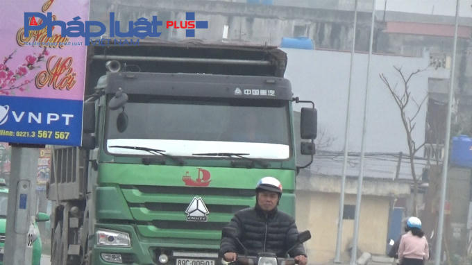 Những chiếc xe gắn logo vua.