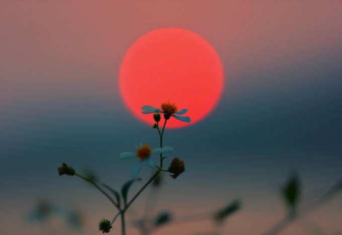 Mặt trời đỏ rực như hòn lửa, đẹp mê hồn như nhà thơ Huy Cận đã ví trong bài "Đoàn thuyền đánh cá" của mình.