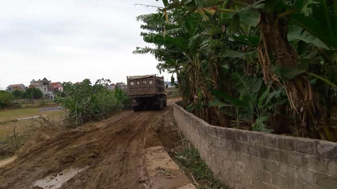 Con đường nội đồng bị cày nát bởi những xe vận chuyển cát.