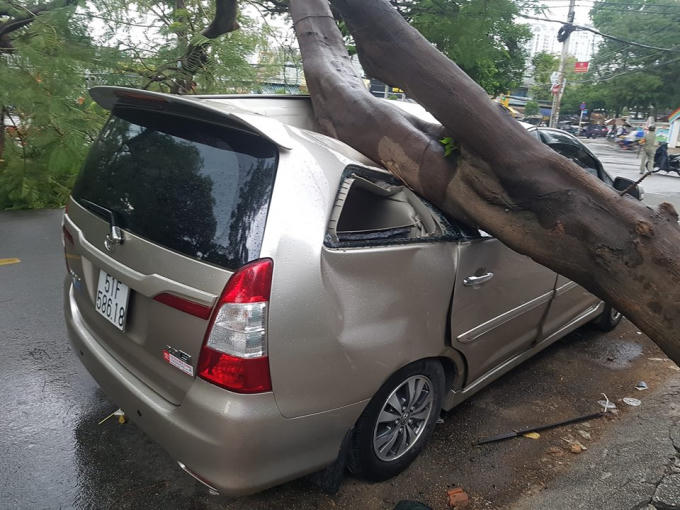 Chiếc ô tô Innova bị cây xanh đè bẹp dúm.