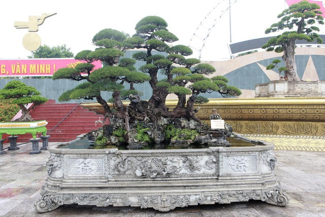Anh404.