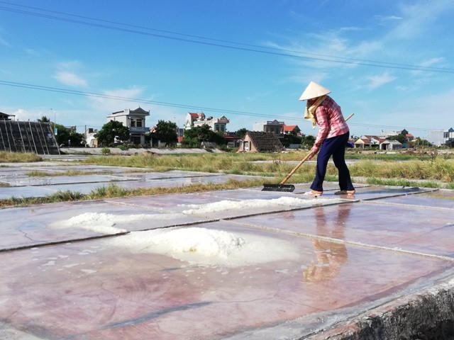 Mỗi năm chỉ có khoảng 120 ngày nắng loại A tương đương là 120 ngày làm được muối cho sản lượng cao.