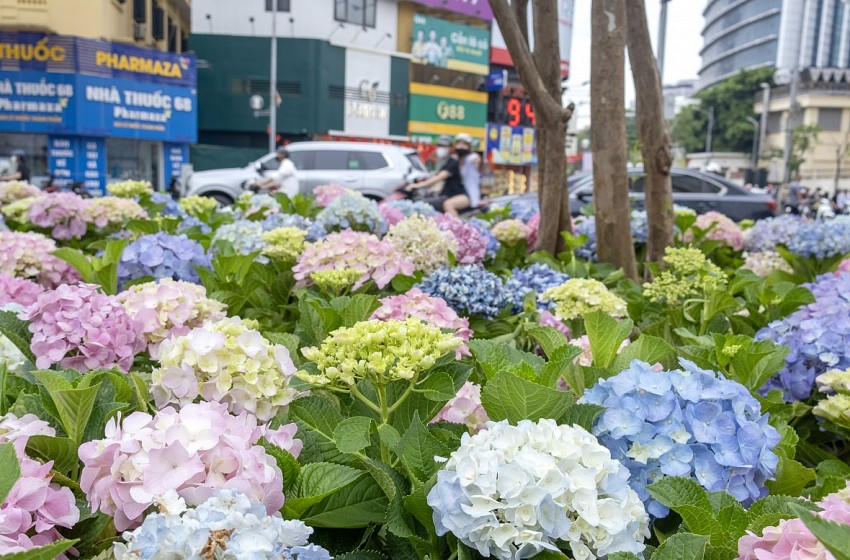 Không khí mừng Quốc khánh 2/9 lan tỏa khắp phố phường Hà Nội