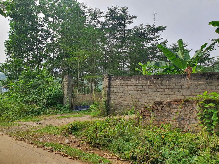 Tranh chấp đất đai, em dâu tố cáo chị dâu hủy hoại tài sản ra công an để đòi đất, anh trai tố em gái lắp ghép giả tạo hợp đồng kiện em gái ra tòa.