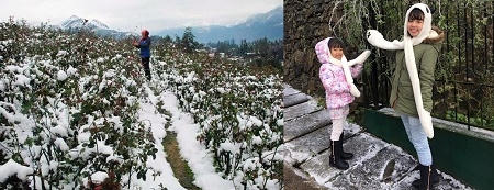 Hoa màu chết trắng do tuyết trong khi du khách tạo dáng chụp ảnh.