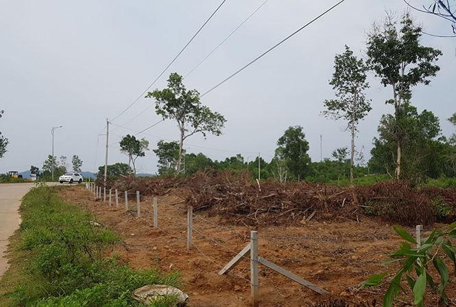 Khu đất trên 70 ha của Tập đoàn 3, ấp Cây Thông Trong, xã Cửa Dương đã bị một nhóm người bán bất hợp pháp.