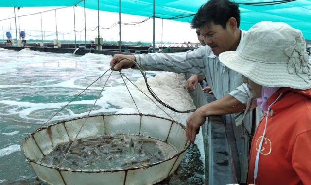 Kiên Giang phát triển nghề nuôi biển theo hướng hiện đại