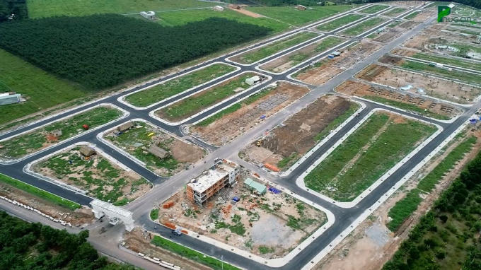 D-n-t-n-n-B-nh-D-ng-2020-1