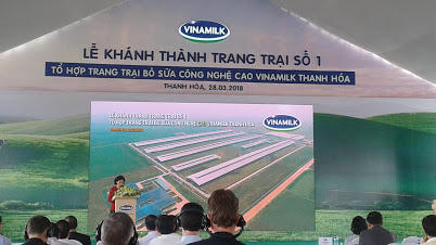 Bà Mai Kiều Liên phát biểu tại buổi lễ.