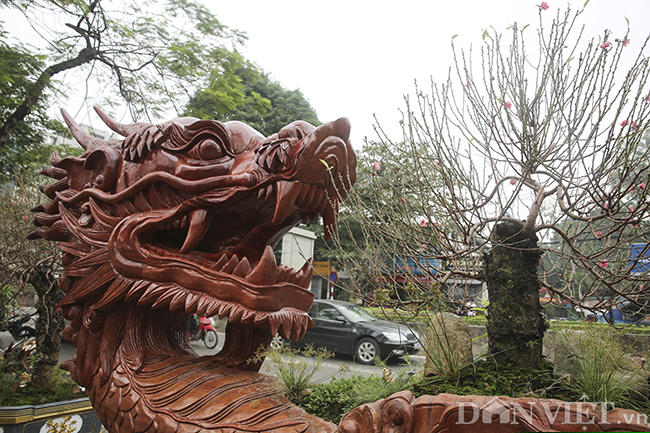 chau dao “sieu khung” cho thue gia 700 trieu dong co gi dac biet? hinh anh 2
