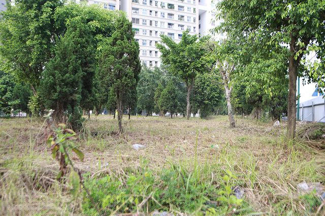 Khu vui chơi trước đây cỏ dại mọc lút đầu người nay đã được cắt bỏ.