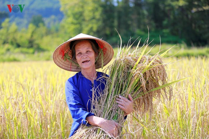 Xã Ngọc Sơn có 3 dân tộc chính là Tày, Nùng và Kinh, trong đó chủ yếu là người dân tộc Tày.