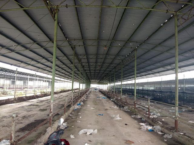 Tất cả các chuồng nuôi bị bỏ hoang, đang xuống cấp trầm trọng. Hệ thống mái tôn trải qua 4 năm nhưng đã thủng lỗ chỗ, hệ thống cột chống đỡ nhiều nơi xiêu vẹo.