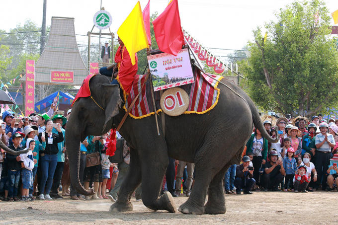 Những ch&uacute; voi nh&agrave; rất hiền l&agrave;nh v&agrave; th&acirc;n thiện được người M&rsquo; N&ocirc;ng nơi đ&acirc;y xem như một th&agrave;nh vi&ecirc;n trong gia đ&igrave;nh v&agrave; cũng c&oacute; t&ecirc;n gọi như c&aacute;c th&agrave;nh vi&ecirc;n kh&aacute;c. (trong ảnh: Voi Khăm On đang nghi&ecirc;ng m&igrave;nh ch&agrave;o kh&aacute;ch)