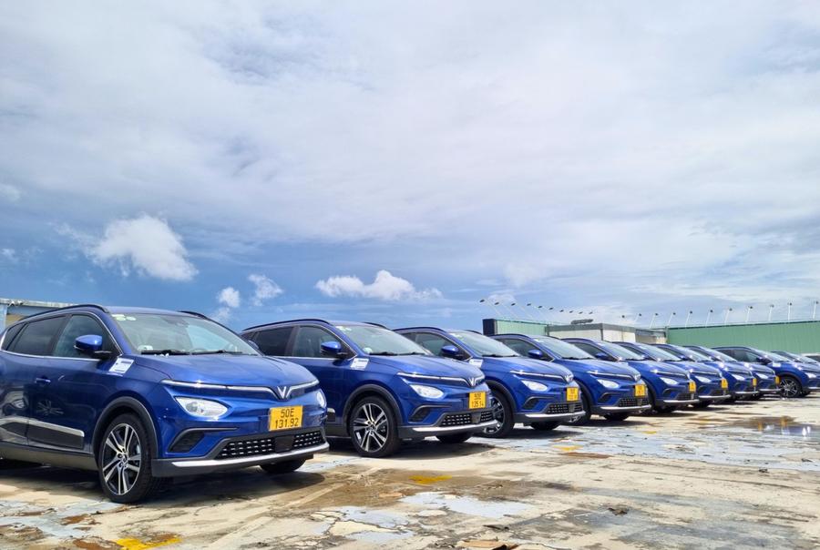 Công ty ASV chậm đóng 5 tháng bảo hiểm của người lao động với hơn 1.3 tỷ đồng. Nguồn Ảnh website Công ty ASV