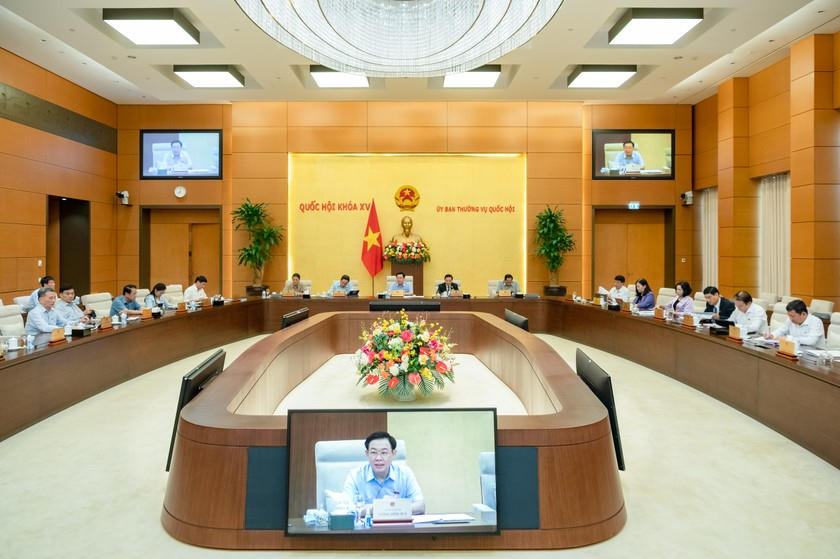 anh-2516