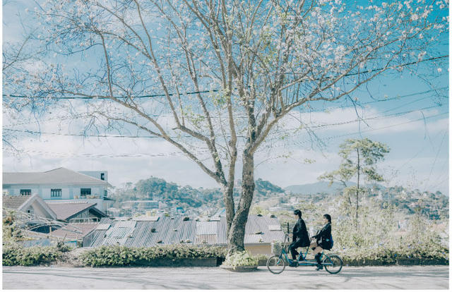 Ngỡ ng&agrave;ng bộ ảnh tại Đ&agrave; Lạt l&atilde;ng mạn tựa phim H&agrave;n