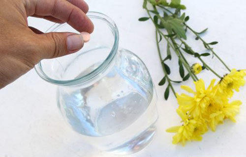 Thay nước mỗi ngày và pha nước.