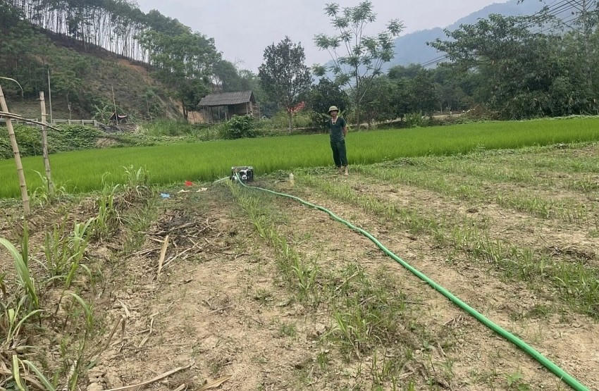 Người dân chủ động dùng máy bơm cỡ nhỏ cấp nước cho cây lúa. (Ảnh: VOV).