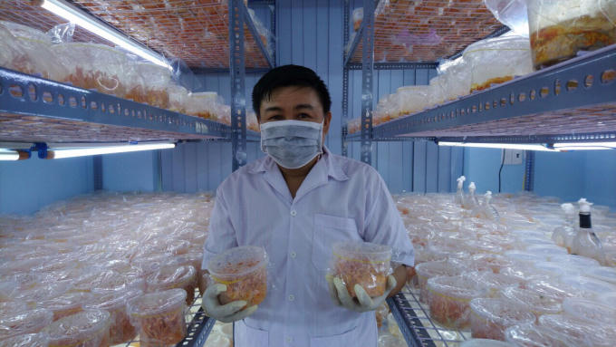 Anh Vũ Nguyên Mạnh trong vườn nuôi trồng Đông trùng hạ thảo.