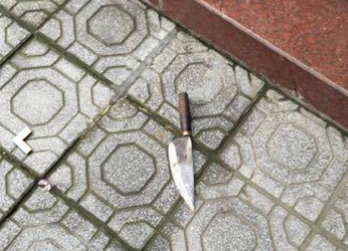 Hung khí hung thủ dùng để gây án là một chiếc dao bầu. Ảnh: Facebook.